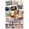 March 2012 Six Week Intensive Prosthetic Makeup Course